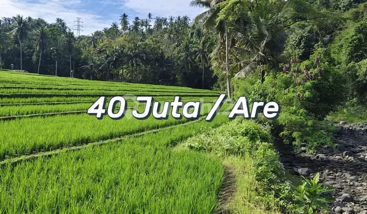 Tanah View Sungai & Persawahan Dekat Pantai Balian – Investasi Langka Di Kawasan Potensial