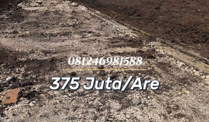 For Sale Premium Plot Land Pesona Anyelir Mesari Tabanan - Strategic Location Near By Pass