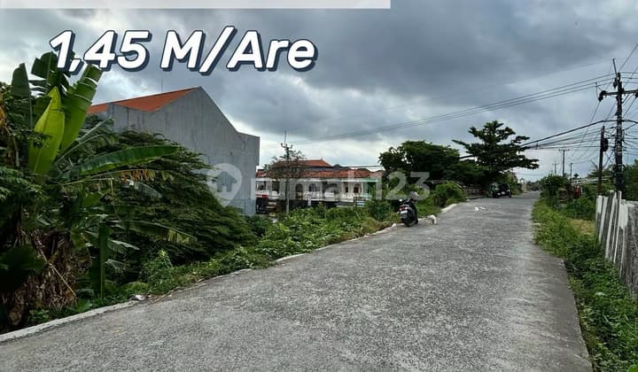 For Sale - Tanah Strategis Double Akses di Bypass Kediri Tabanan, Potensi Bisnis dengan View Sawah Aktif