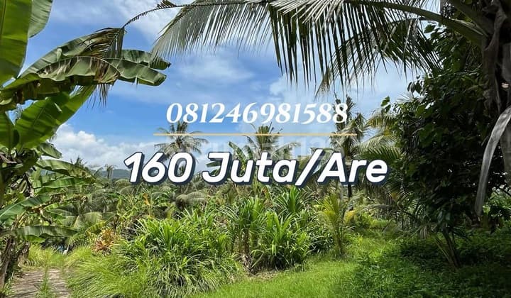 For Sale Tanah Kecil Strategis Dekat Balian Beach - View Sawah & Pegunungan, Potensi Villa Menarik