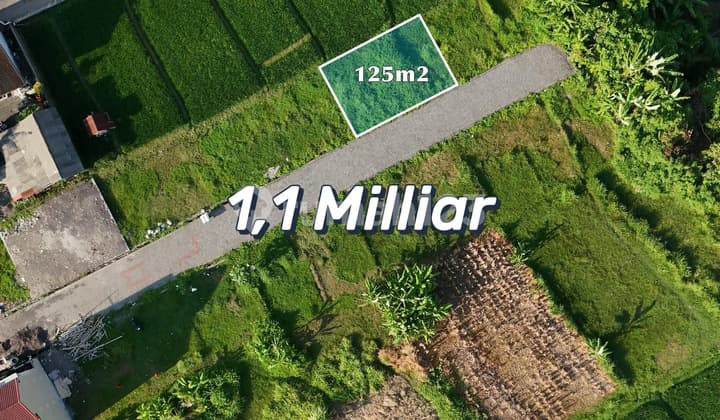 Tanah Pecahan Strategis Di Kerobokan Badung – View Sawah & Lokasi Langka