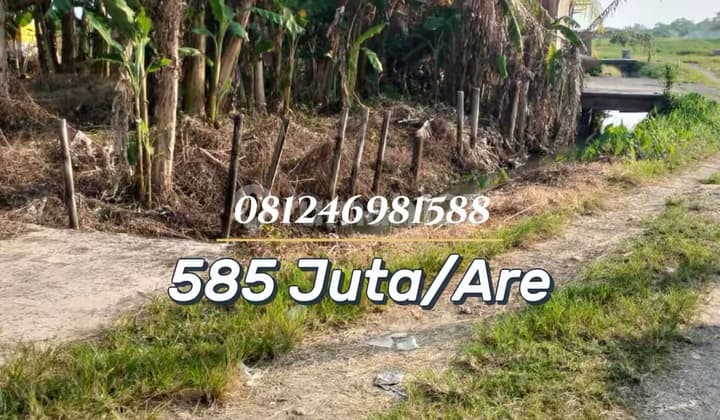 For Sale Tanah Strategis Dekat Pantai Yeh Gangga - Investasi Premium di Kawasan Wisata