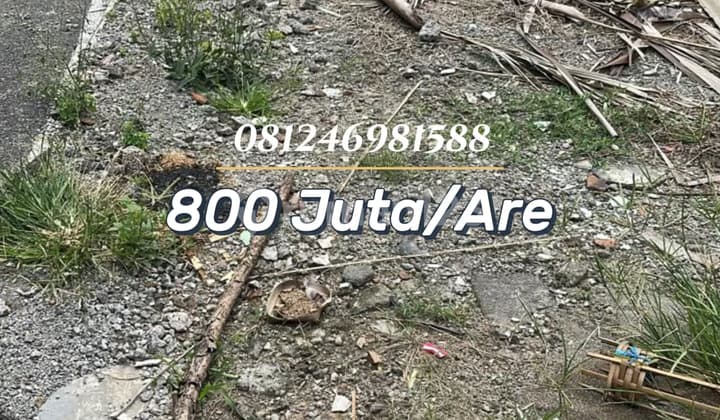 For Sale: 2-Acre Land (Yellow Zone) - Padonan