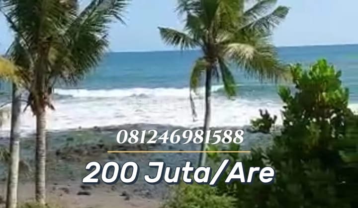 Sale Beachfront 1.5 Hectares Soka Beach