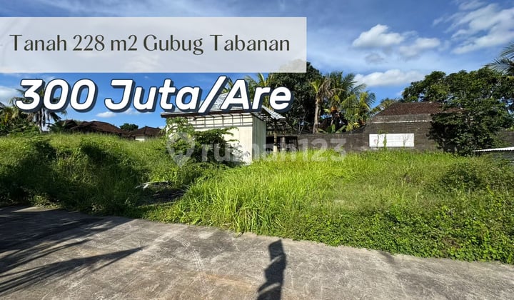 Sale of Freehold Land Near Gubug Beach, Tabanan