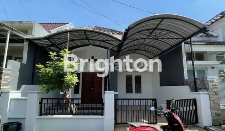 KEBONSARI ELVEKA MINIMALIS MURAH!!