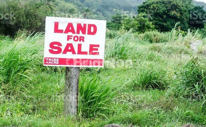 Kebonsari Lvk MURAH & Langka!!