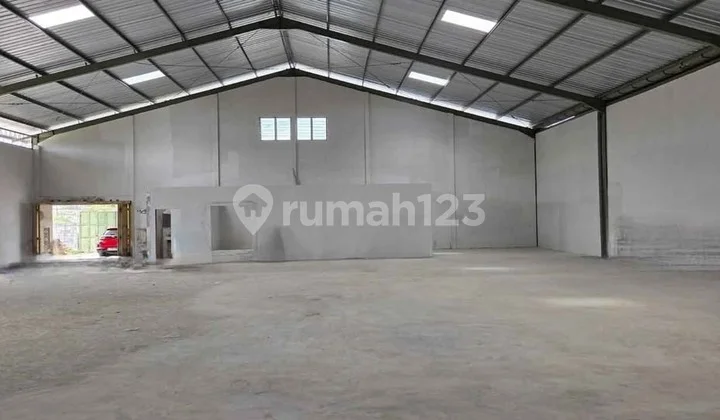 Cheap, Rare Paddy Field Warehouse, Negotiable Until Deal Cheap, Rare Paddy Field Warehouse, Negotiable Until Deal