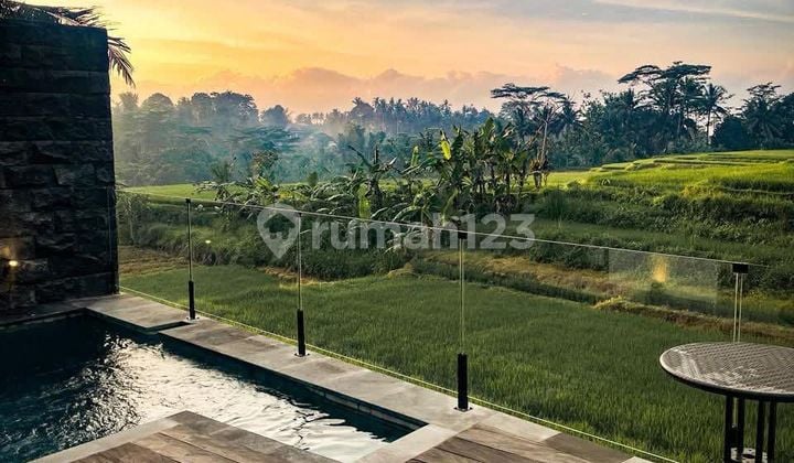 Villa Luxury Siap Huni View Sawah Area Ubud Bali