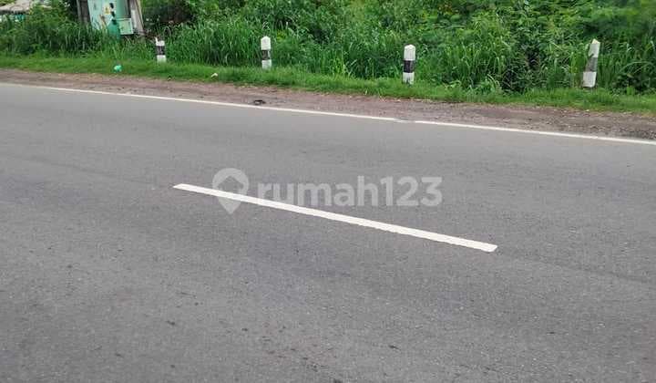 Tanah di Jalan Raya Pantura Cirebon Tegal