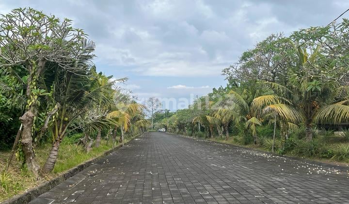 Di Jual Tanah Kavling Premium Di Prof Ida Bagus Mantra Gianyar