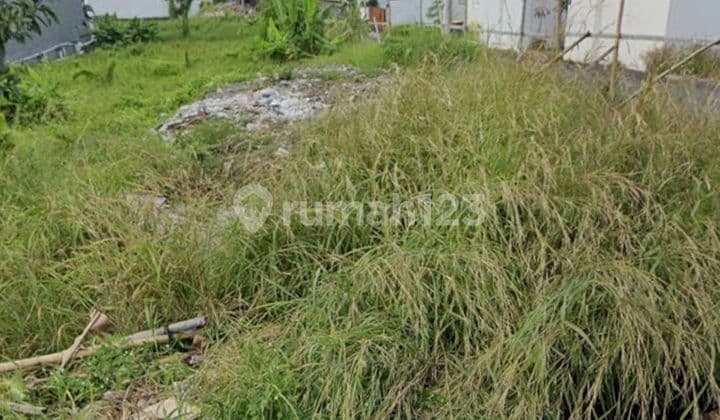 Ready-to-Build Small Plot in Canggu Bali Area Strategic Location