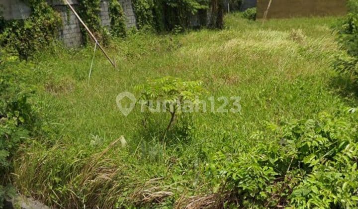 For Sale: Land Plot in Canggu Kulibul, Bali. Suitable for Building a Villa, Restaurant, or Guesthouse.