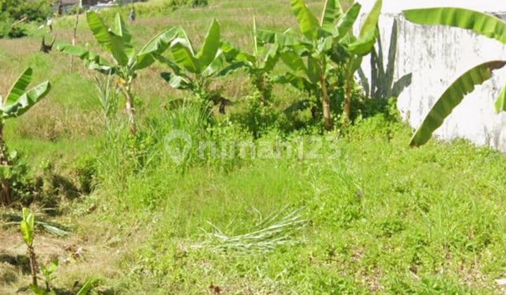 For Sale: Cheap Land Plot in South Kuta Area Near Udayana University