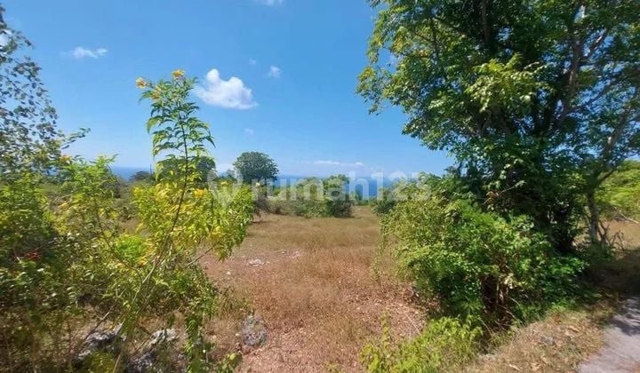 Rare Opportunity: Cheap Land for Sale in Nusa Dua with Ocean View