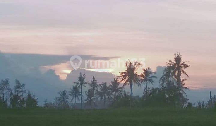 For Sale: Land Plot in Bali, Munggu Village, Near Pererenan Beach