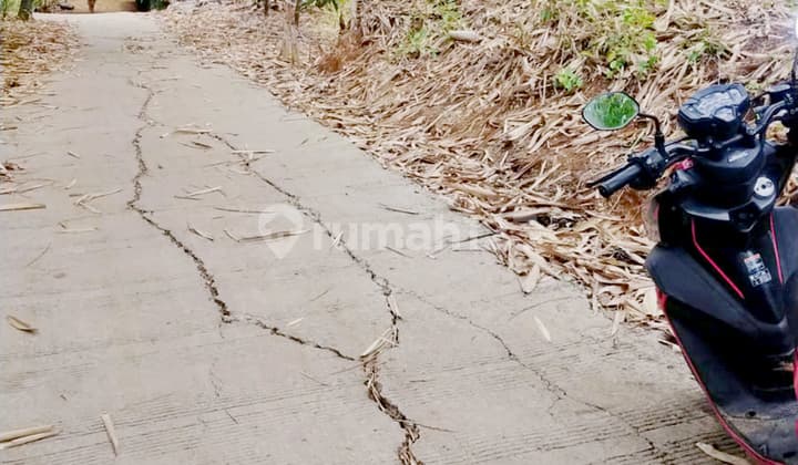 Dijual Kavling Sukabungah Bojongmangu Bekasi dekat tol dan pasar