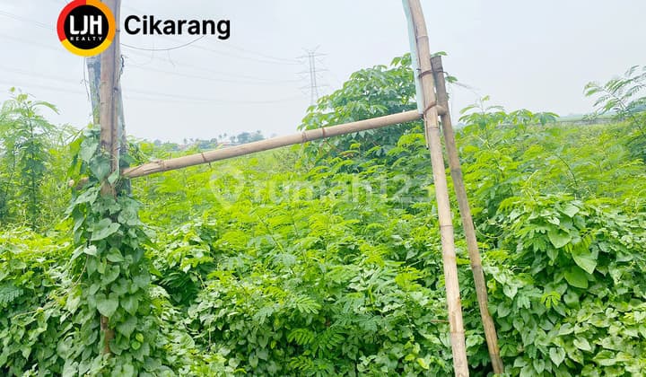 Dijual Kavling di Citarik Karang Sari Cikarang Tanah Luas SHM