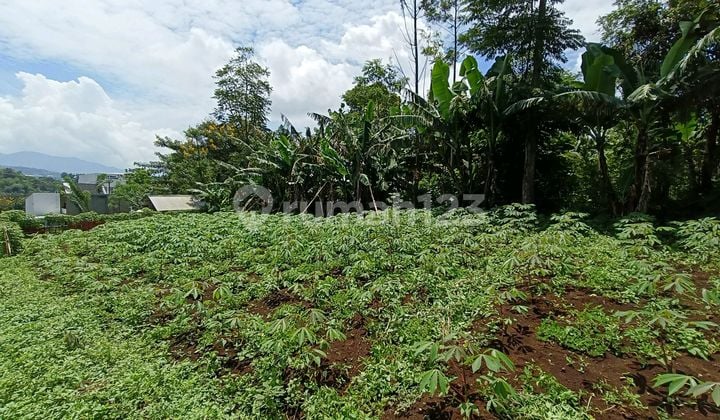 Tanah Plus Bangunan Rumah, Kantor, Ruko Tanjungsari Sumedang