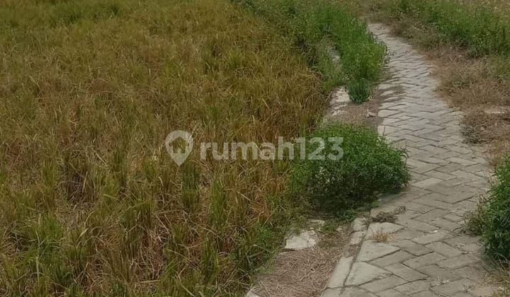 Tanah sawah SHM ,daerah pabrik di sepatan , tangerang