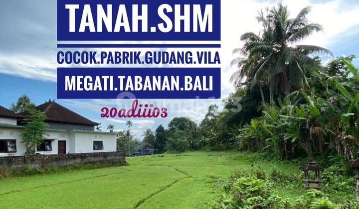 Land for Sale Suitable for Factory Warehouse Livestock Villa House Tabanan Bali