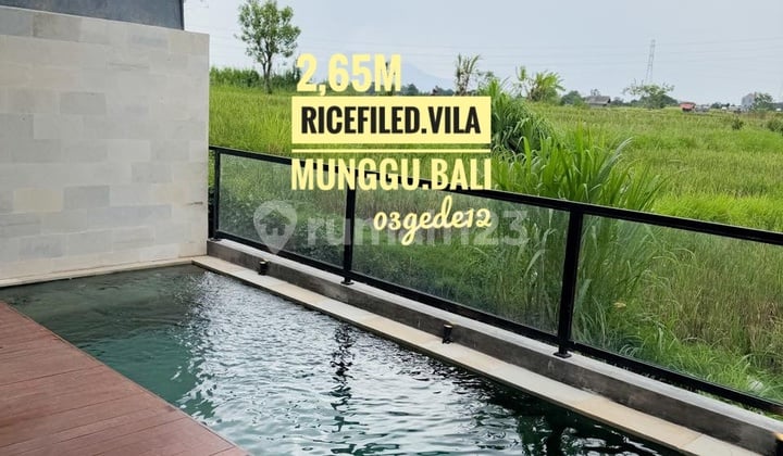 Ricefield Villa Cepaka Munggu Canggu Bali
