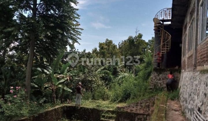 Tanah 2 Ha Bonus Rumah + 3 Kolam + Pohon Cengkeh & Kopi di Gunung Cakra Buana