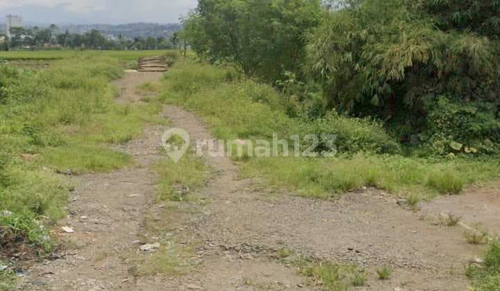 Tanah 16 Ha Cocok Utk Pabrik Atau Gudang Di Rancaekek