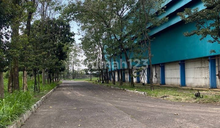 LARGE WAREHOUSE 4500 M, SPACIOUS PARKING ON MAIN ROAD, SAYAP MOH TOHA