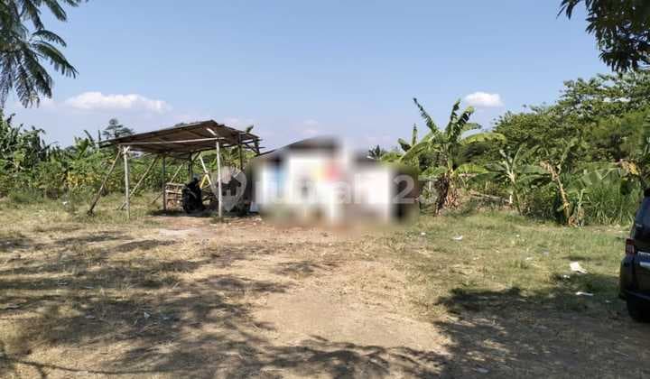 Jual Di Bawah Harga Pasar!! Kavling Tanah Siap Bangun 2 Ha Dekat Tol Soroja