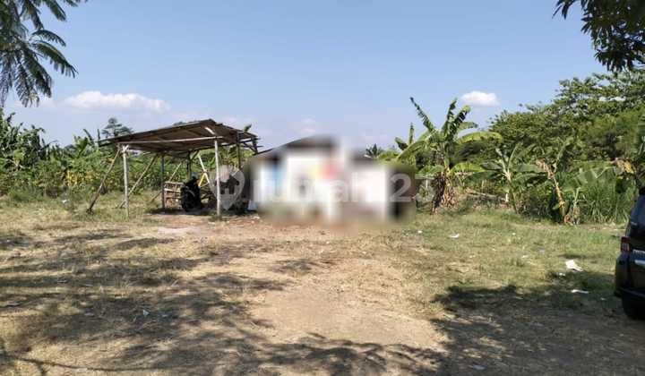 Jual Di Bawah Harga Pasar!! Kavling Tanah Siap Bangun 2 Ha Dekat Tol Soroja