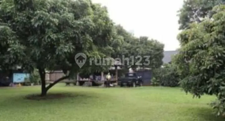 Sell Fast Large Land in Patra Kuningan
