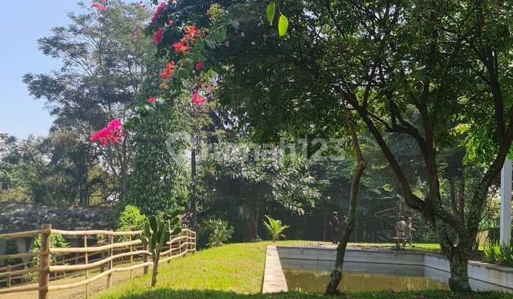 Jual Cepat di Bawah Harga Pasar!!! Villa Hidden Gem Dekat Sungai Jernih dan Ada Mata Air!!! Jarang Ada Siapa Cepat Dapat:pray: