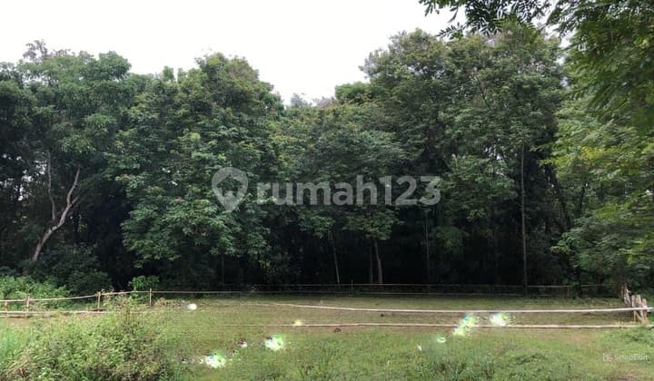 Tanah Termurah Dekat Stadion Maguwoharjo