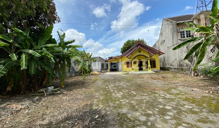 Rumah 1 Lantai Halaman Luas Cocok untuk Usaha