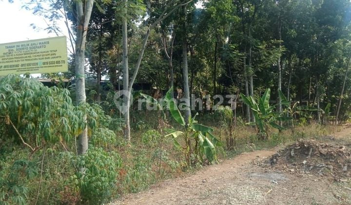 Jual Cepat Murah Kavling Komersil di Jl. Raya Tuntang Blontongan