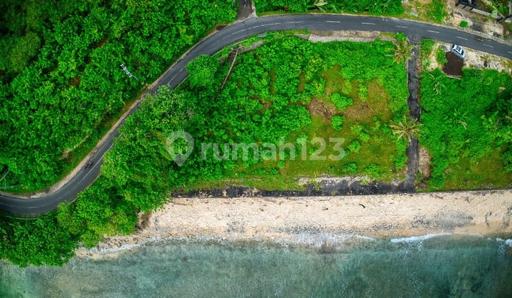 Disc. 25 Persen Tanah Los Pantai, Tanah di Pinggir Jalan Utama