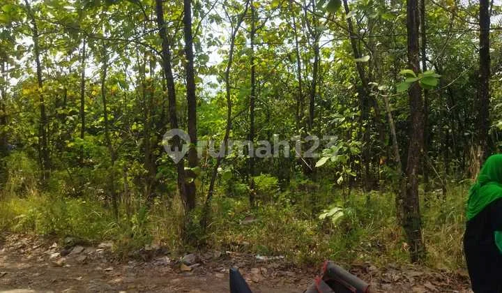 Tanah Murah Padat Kota Cirebon