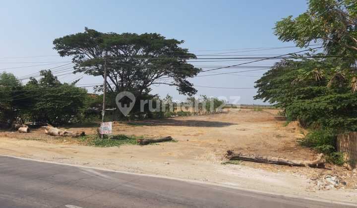 Tanah Pantura Losarang Indramayu
