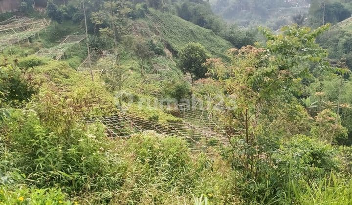 For Sale: Land and Villa in Kp. Ciaul, Cisondari Village, Pasir Jambu District.