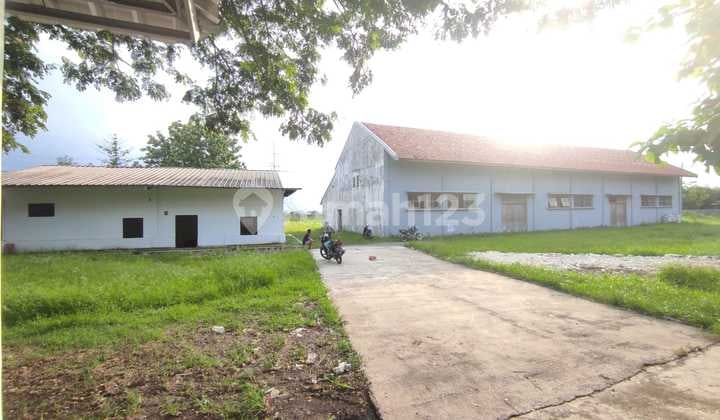 Disewakan Gudang Luas di Dekat Tol Kanci, Cirebon