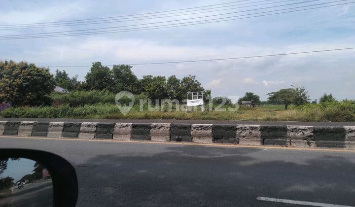 Dijual Tanah Sudah Urug Padat Dekat Kawasan Industri Losarang Indramayu