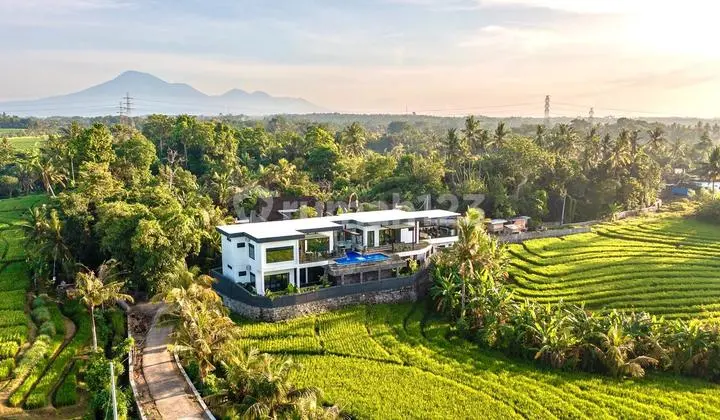 Luxury Villa With Terraced Rice Fields View At Tabanan