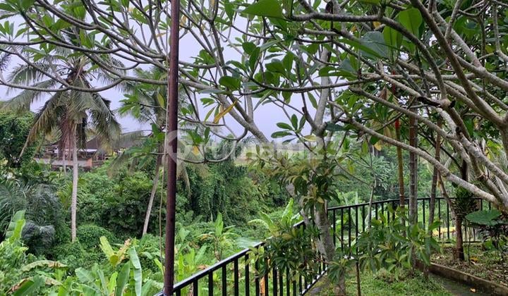 Tanah View Sawah Dan Sungai Jalan Utama Ubud