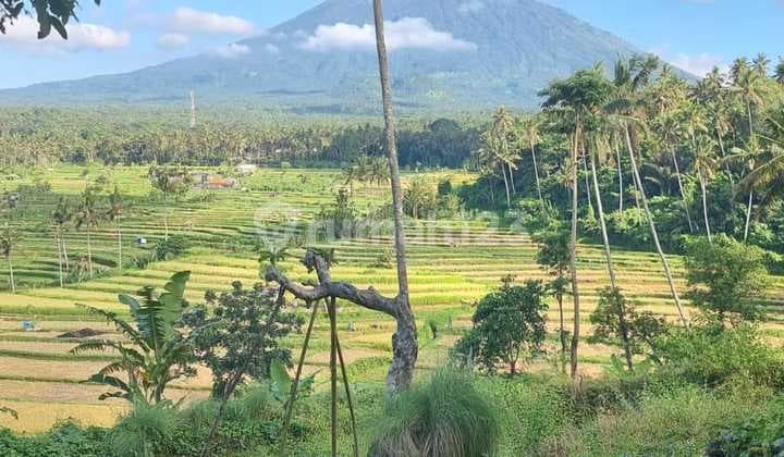 Land For Sale With Good View At Karangasem
