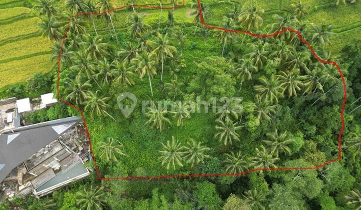 Lahan View Mempesona