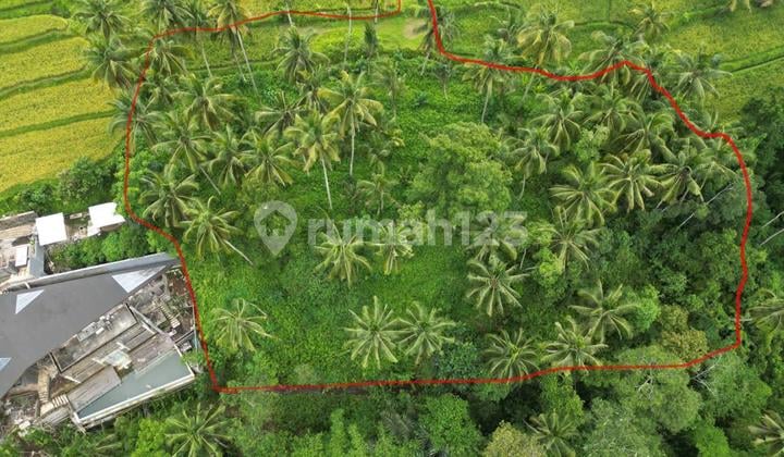 Lahan View Mempesona