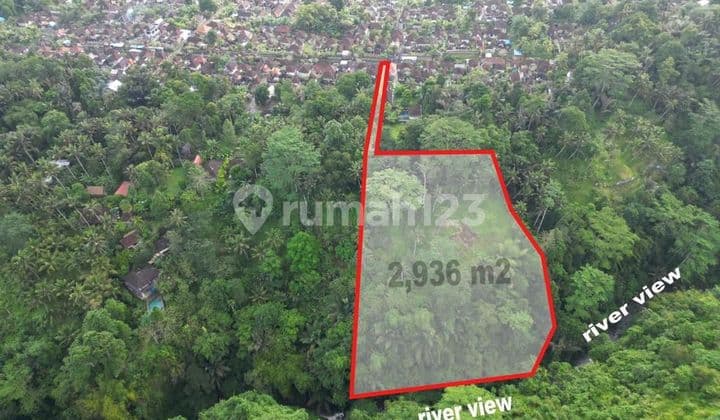 Tanah Tebing Dengan Panorama Hutan Dan Sungai di Ubud Bali