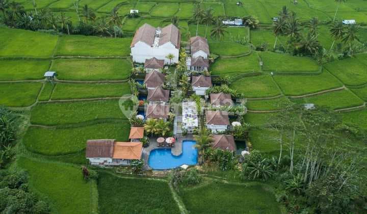 Dijual Villa & Resort With Rice Field View Ubud