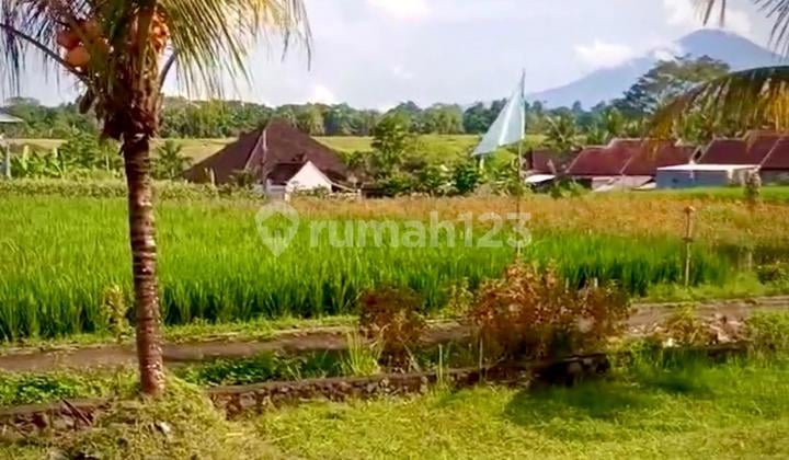 For Sale/For Rent Land with Rice Field and Mountain View in Tabanan